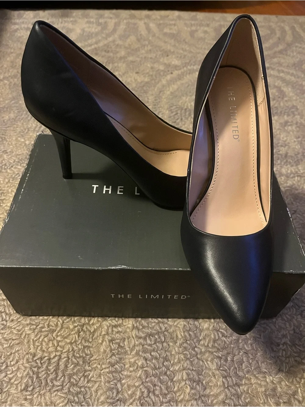 The Limited Women’s Navy Pointed-Toe Pumps